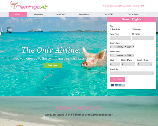 Flamingo Air Logo